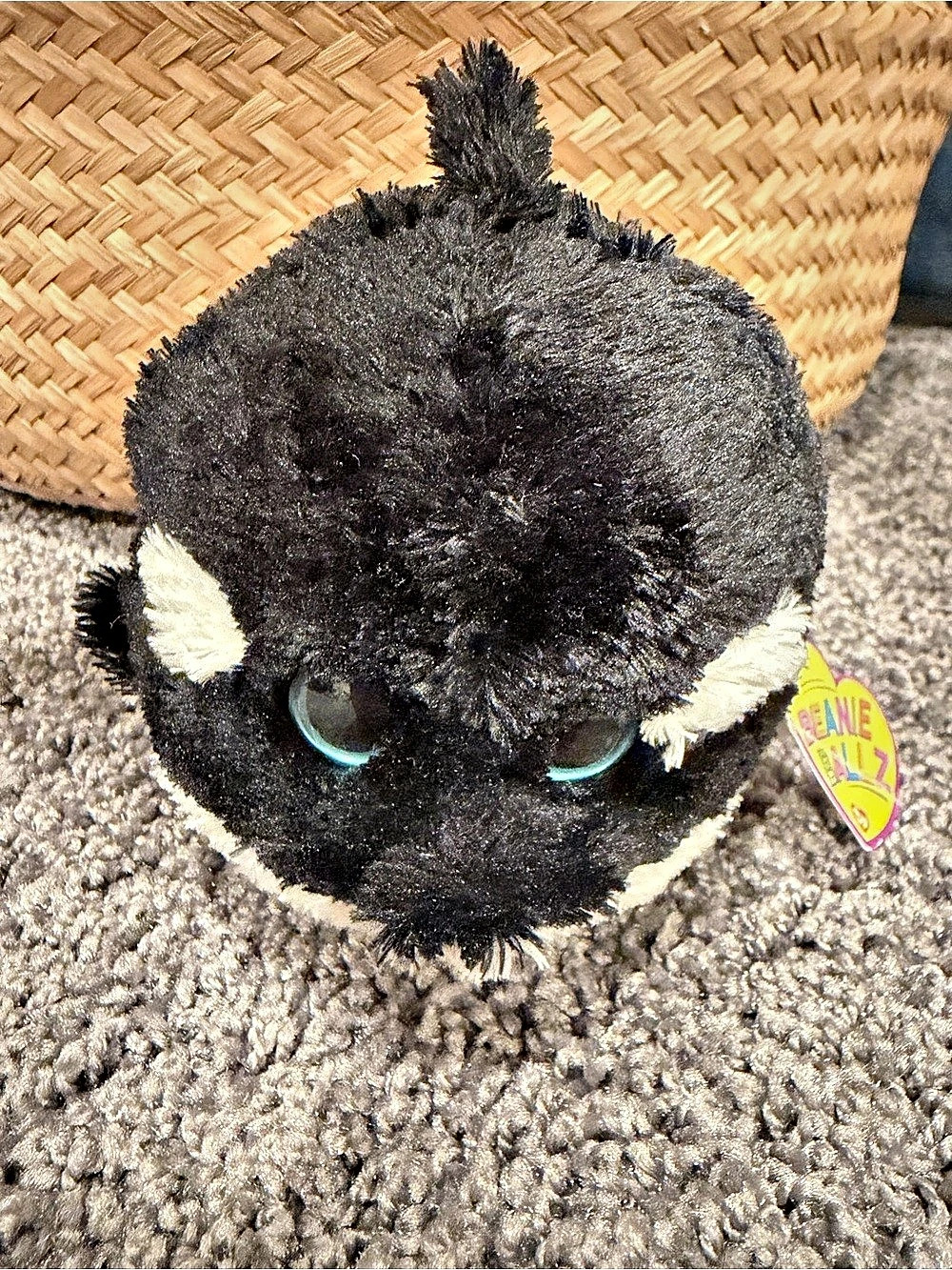 TY Beanie Ballz Splash Orca Killer Whale Plush 5” With Tag Retired